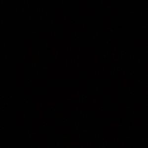 Meet your Posher, Jesus